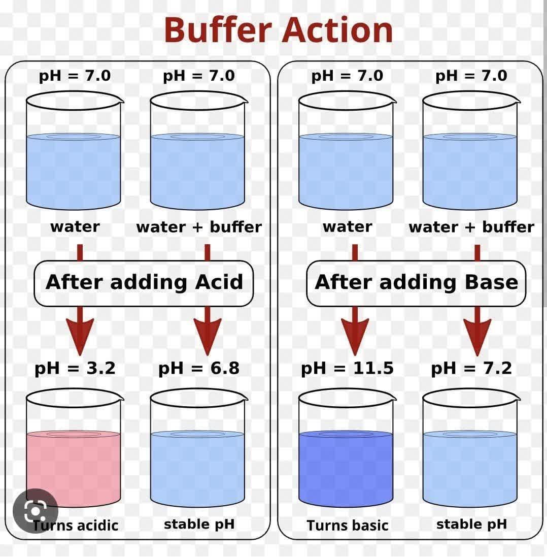 محلول بافر (Buffer Solution)