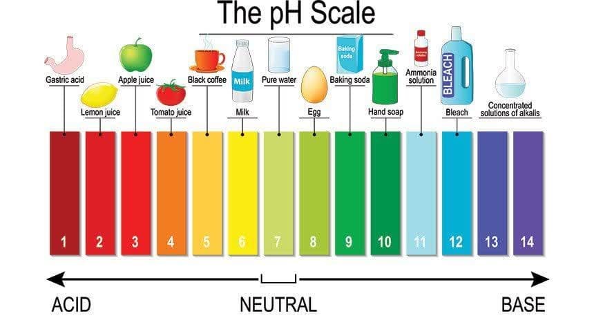 مقیاس PH مواد غذایی مختلف